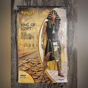 Spirit King of Egypt Adult Costume - Black and Gold #011